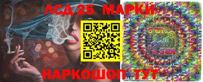амф Обь