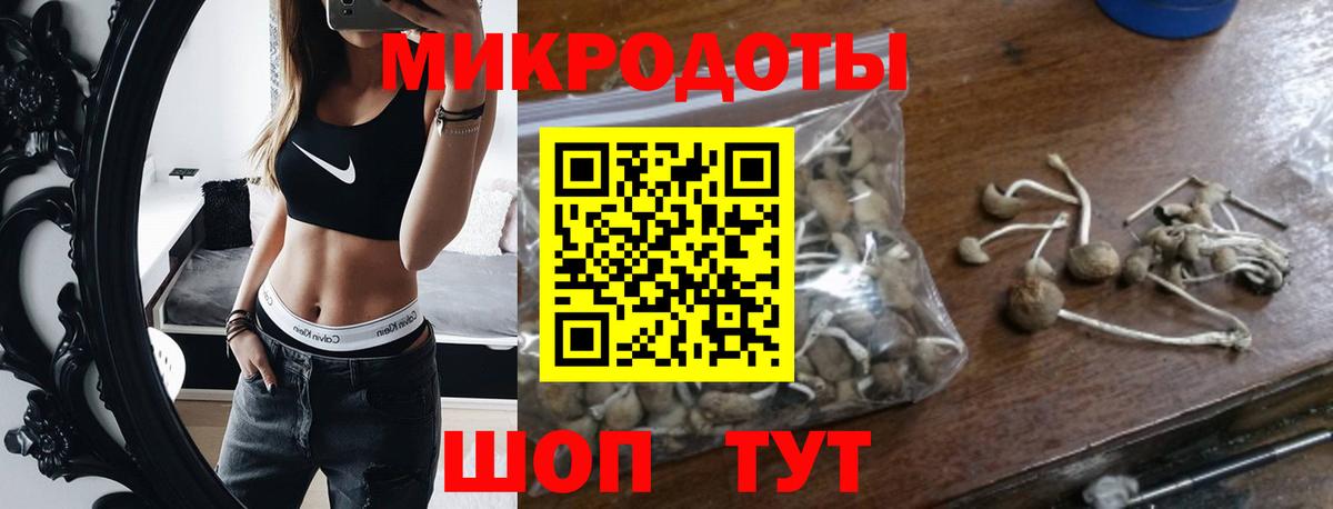 Углич  Псилоцибиновые грибы Magic Shrooms  Вход с VPN 